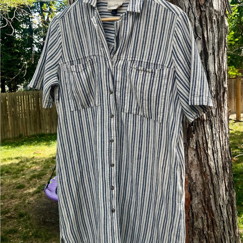 Universal Thread Blue and White Striped Button-Front Shirt Dress
